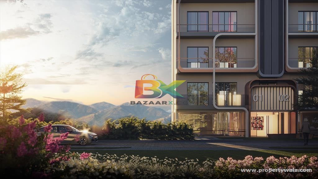 BZX Property