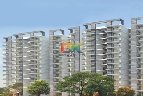 BZX Property