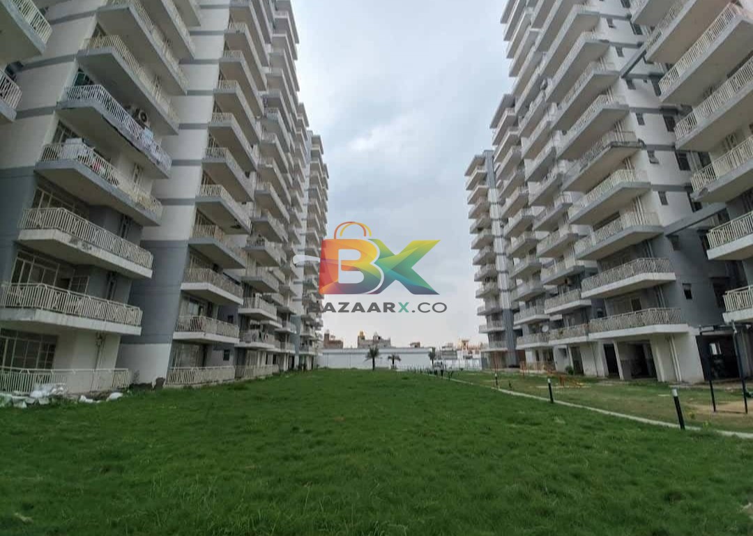 BZX Property