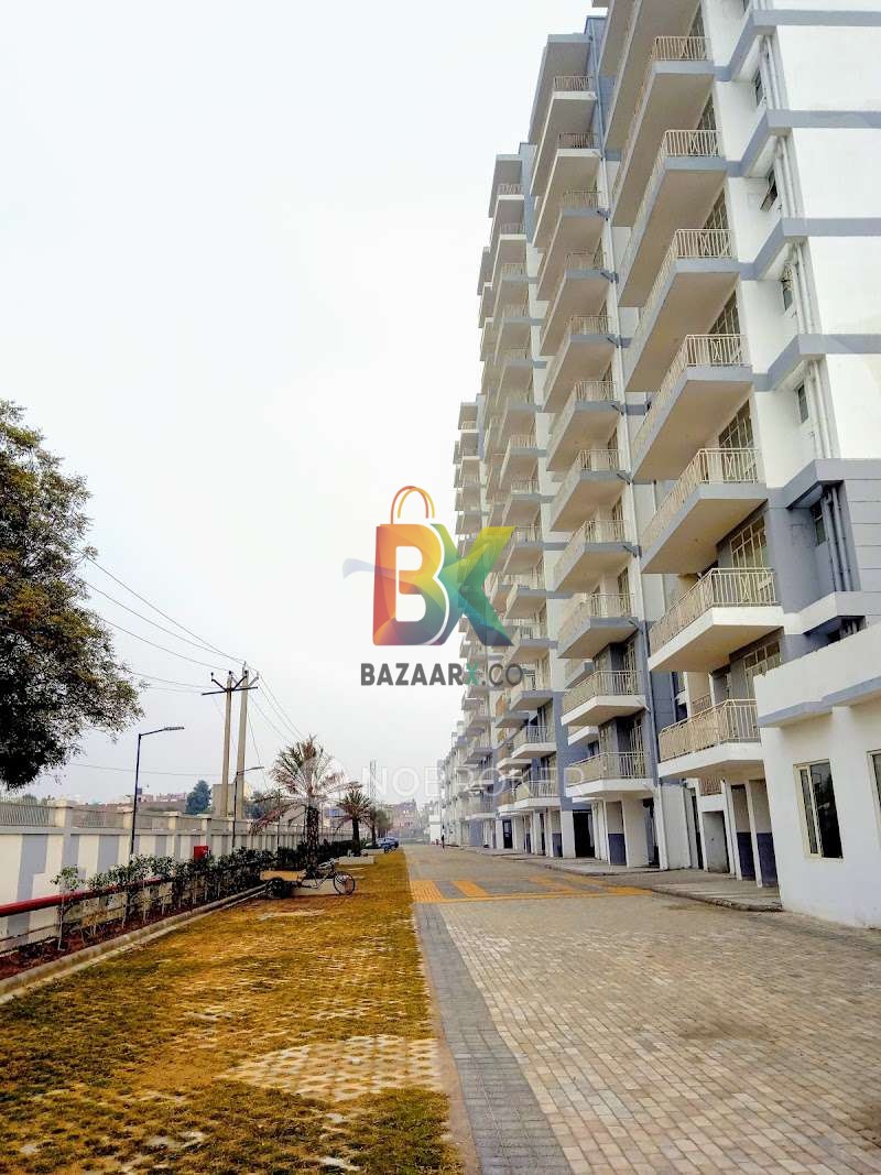 BZX Property