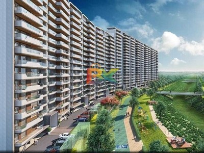BZX Property