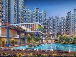 BZX Property