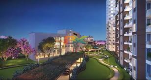 BZX Property