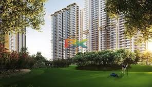 BZX Property