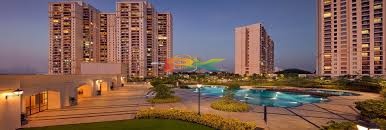 BZX Property