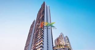 BZX Property