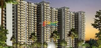 BZX Property