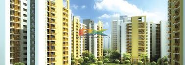 BZX Property