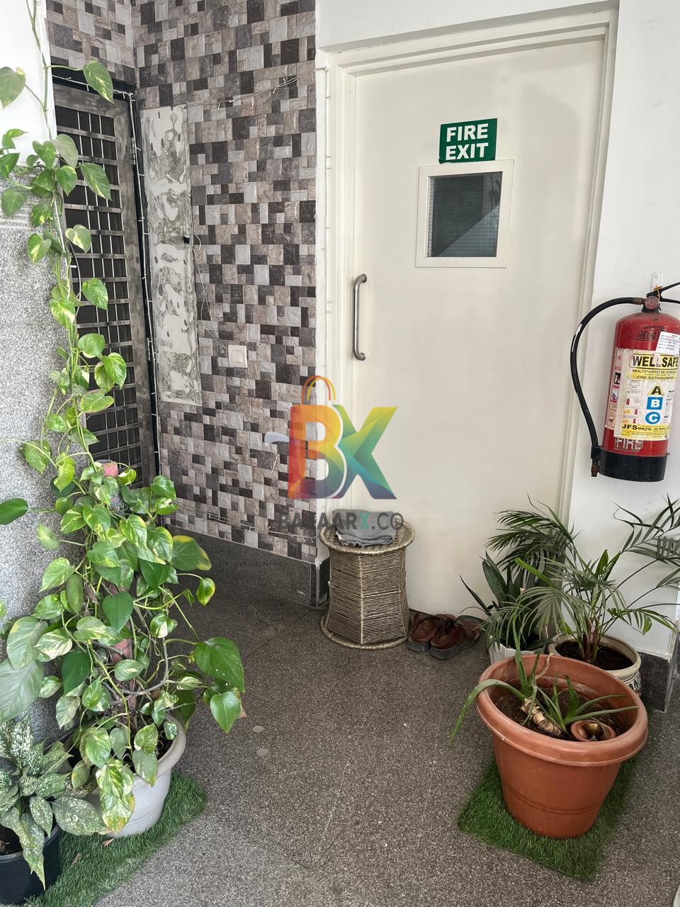 BZX Property