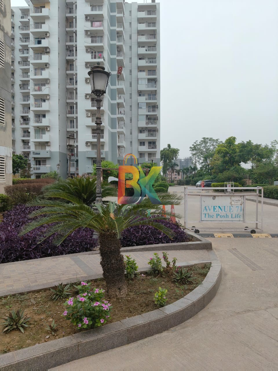 BZX Property
