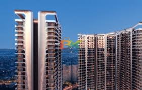 BZX Property