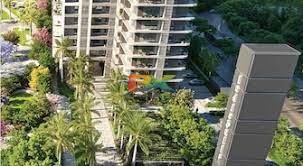 BZX Property