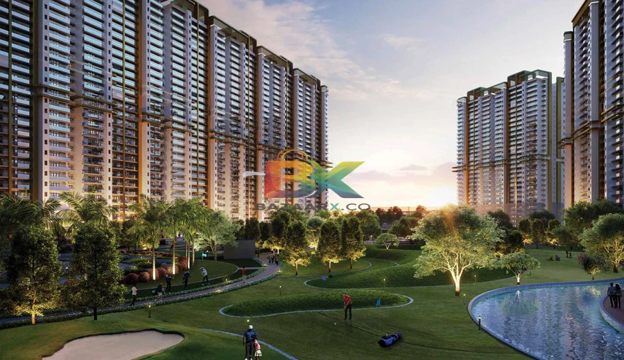 BZX Property
