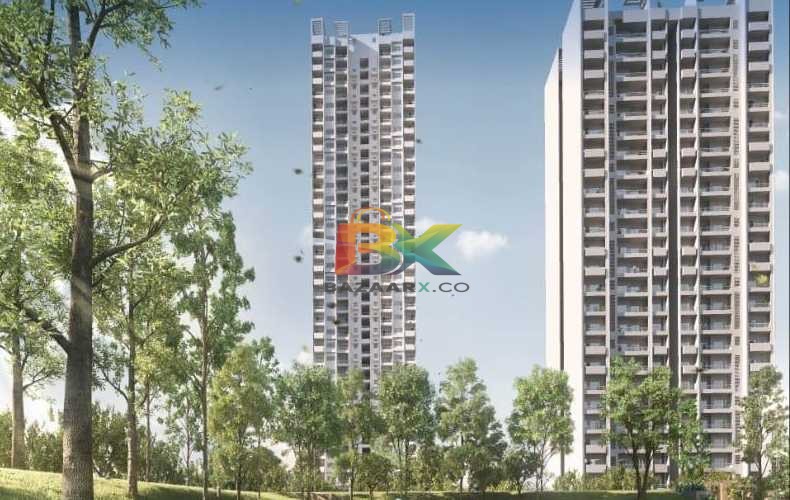 BZX Property