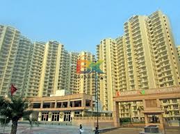 BZX Property