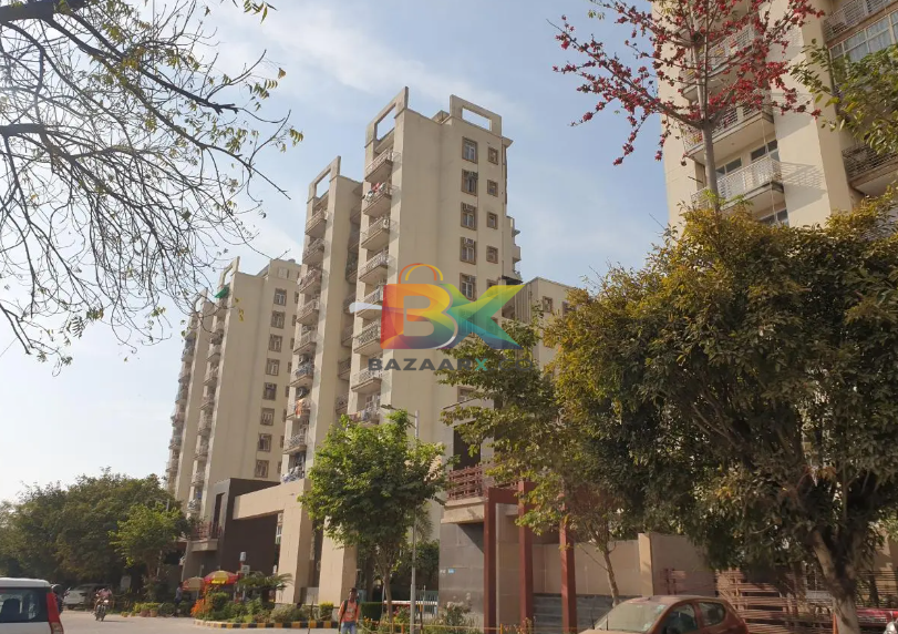BZX Property