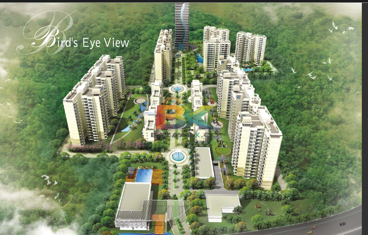 BZX Property