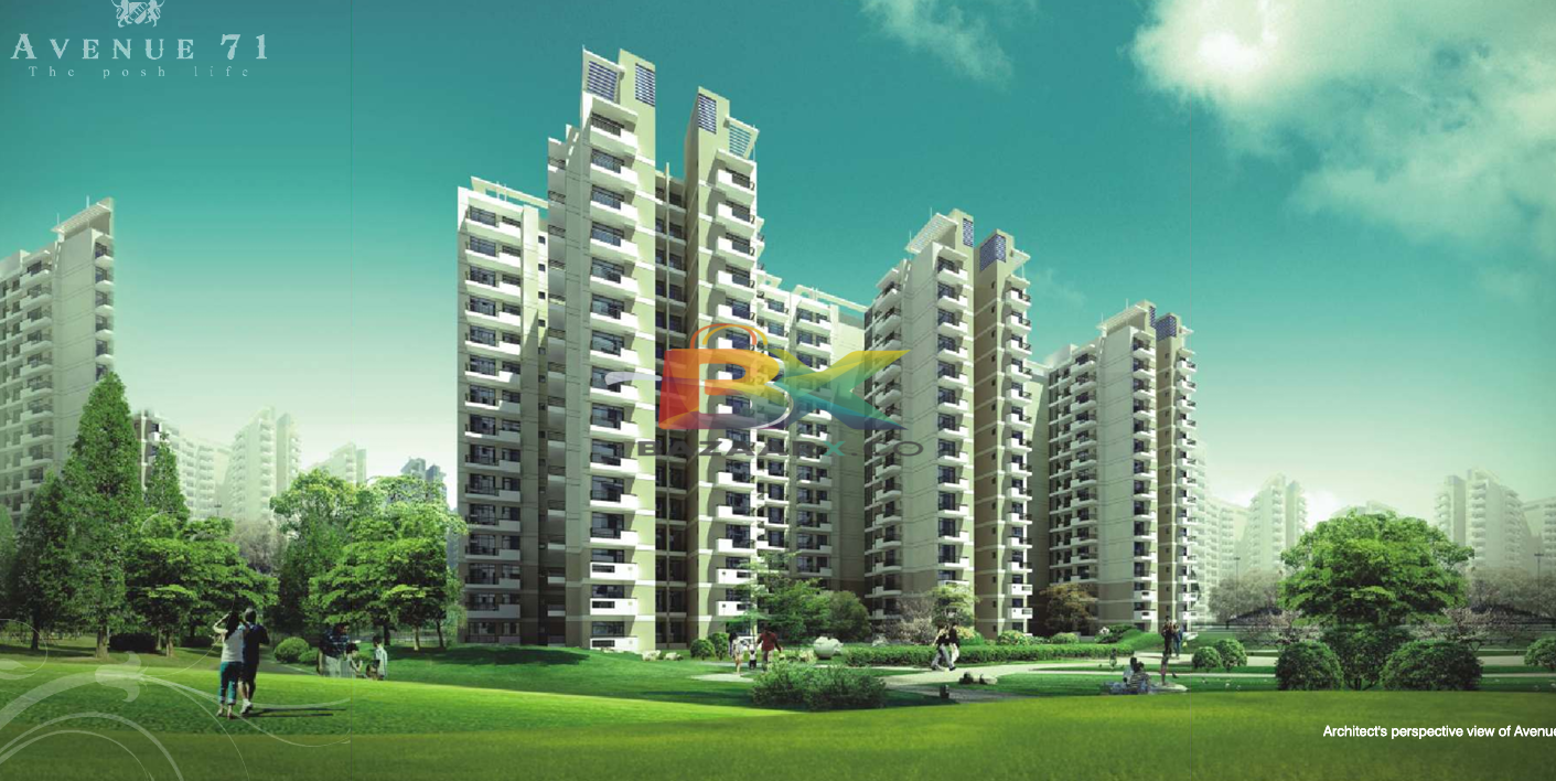 BZX Property