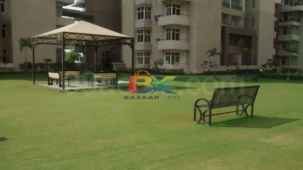 BZX Property