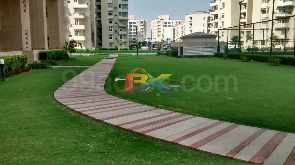 BZX Property