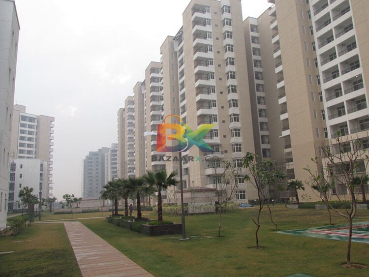 BZX Property
