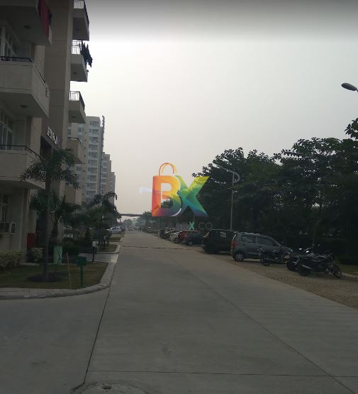 BZX Property