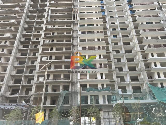 BZX Property