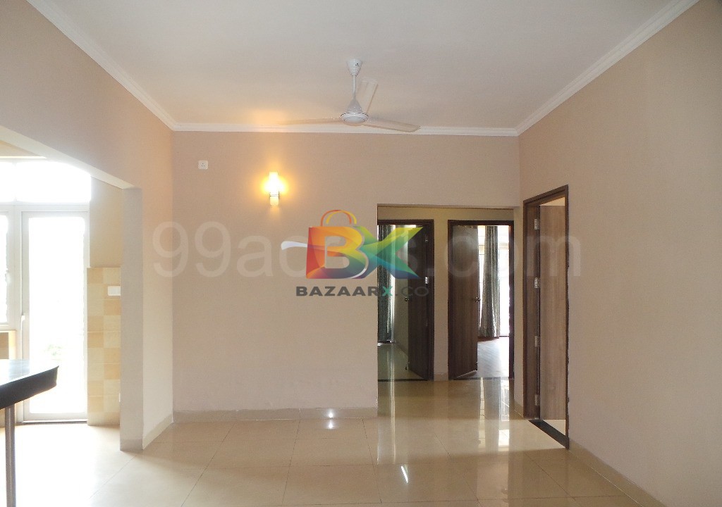 BZX Property