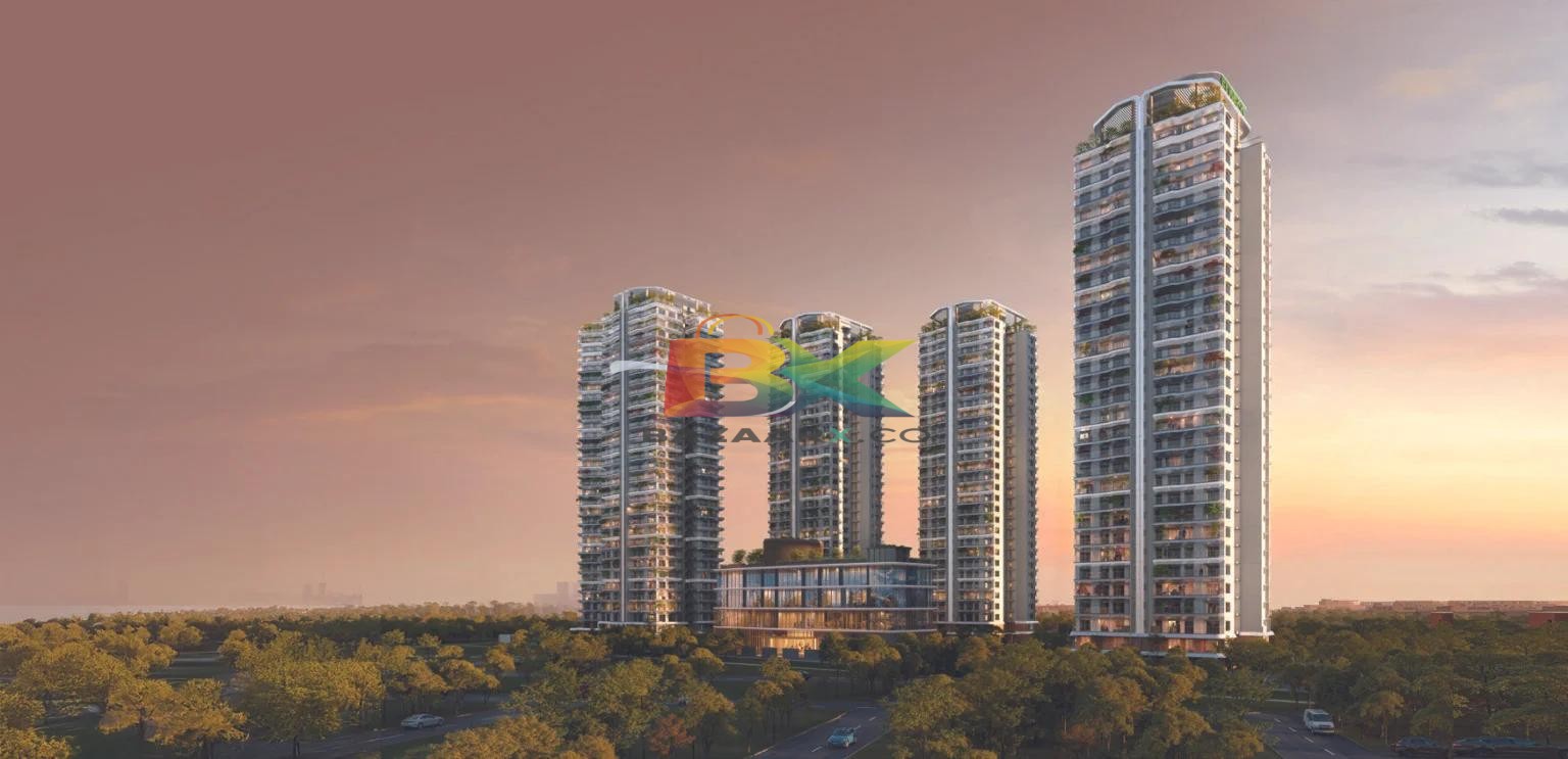 BZX Property