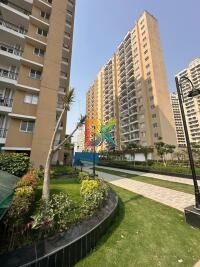 BZX Property