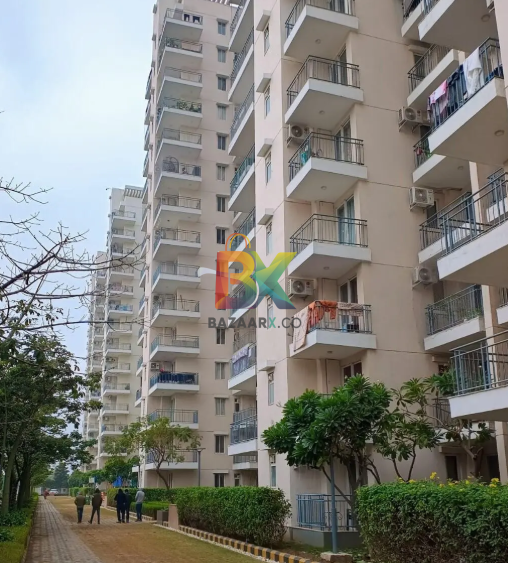 BZX Property