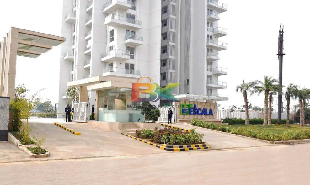 BZX Property