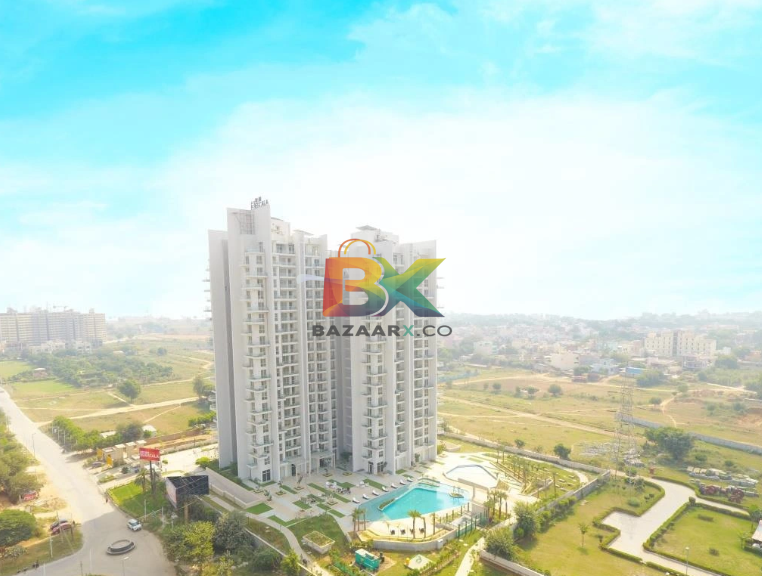 BZX Property
