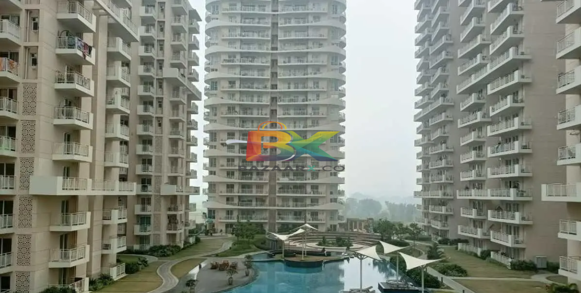 BZX Property