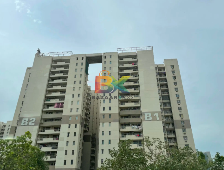 BZX Property