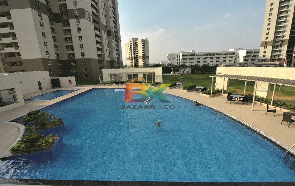 BZX Property