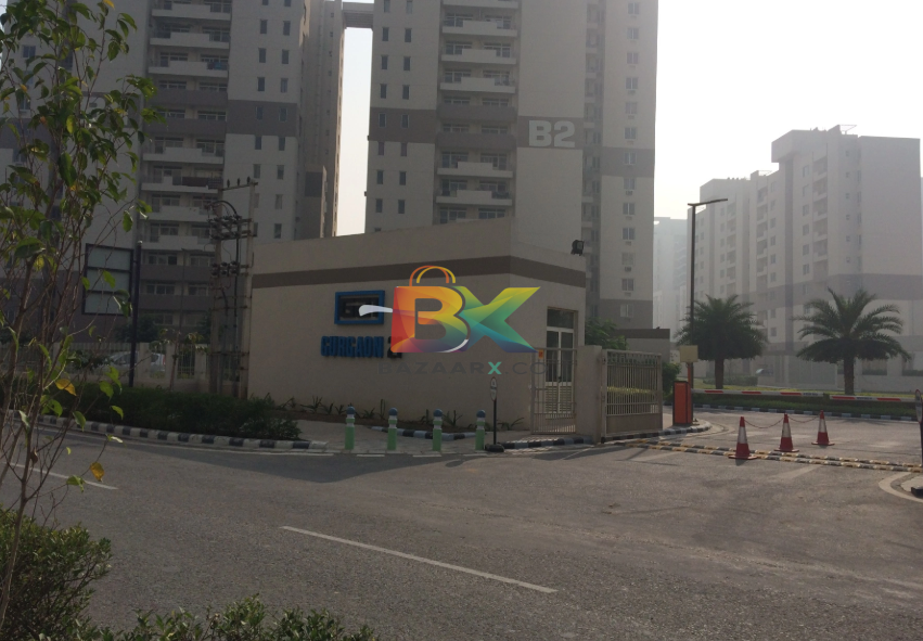 BZX Property
