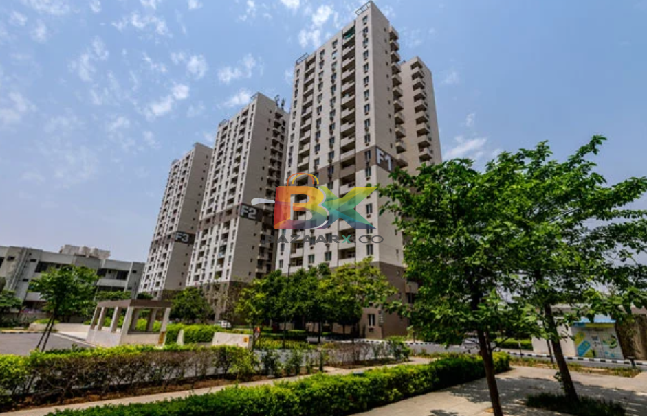 BZX Property