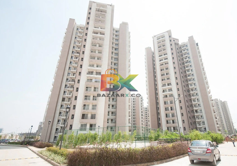 BZX Property