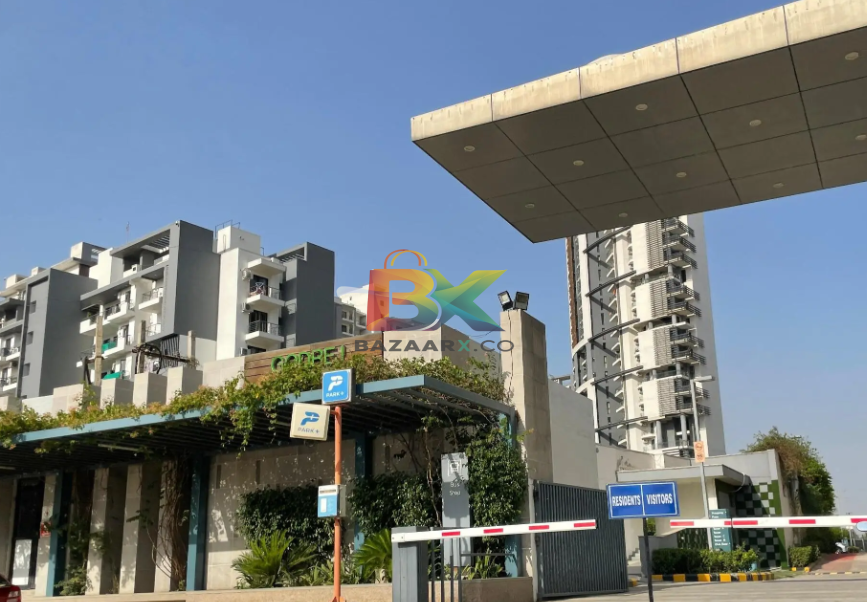 BZX Property