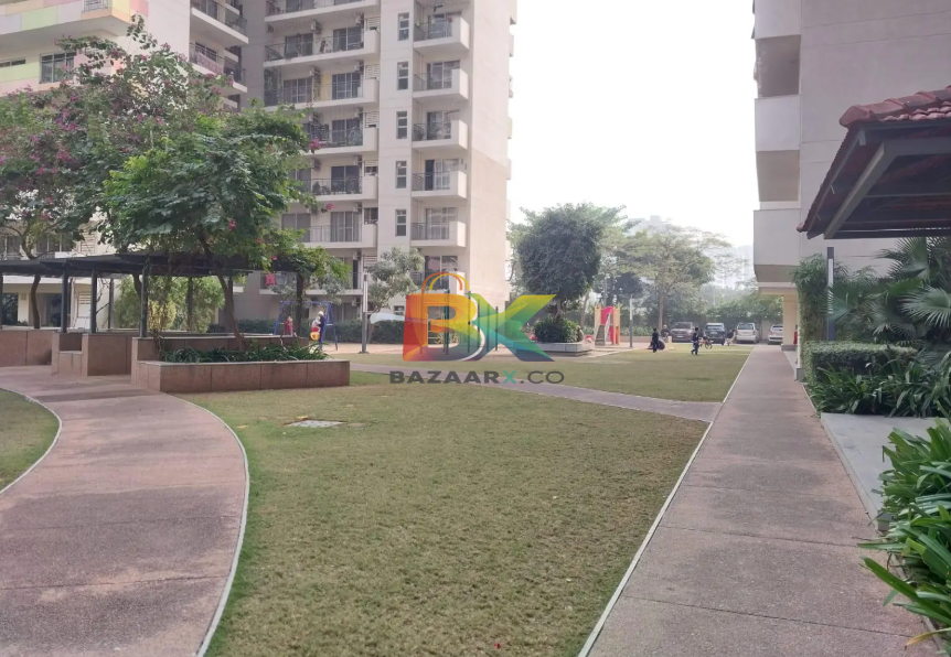 BZX Property