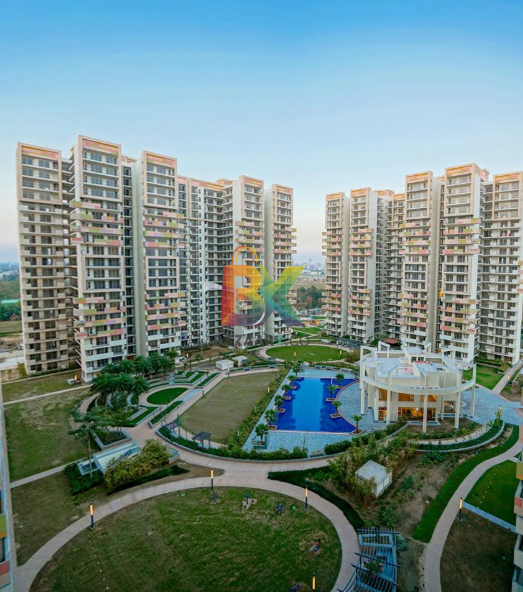BZX Property