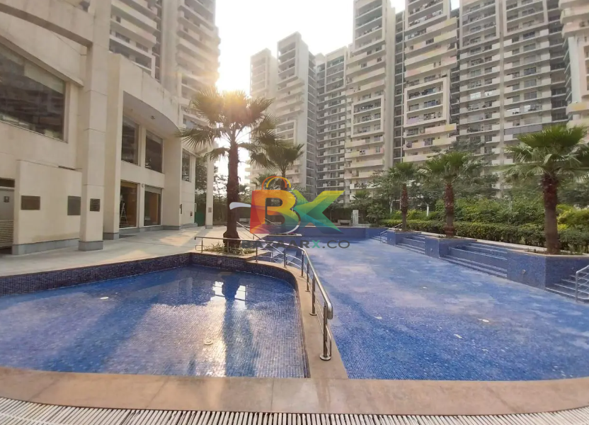 BZX Property