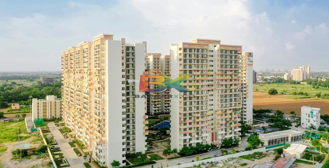 BZX Property