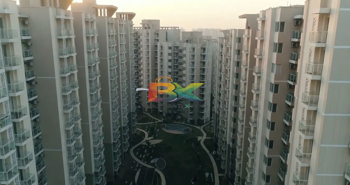 BZX Property