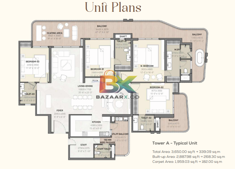BZX Property