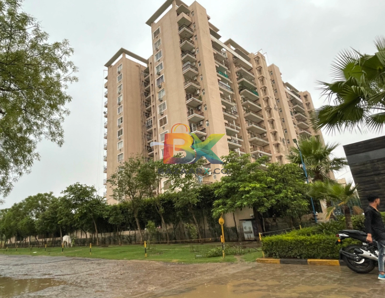 BZX Property