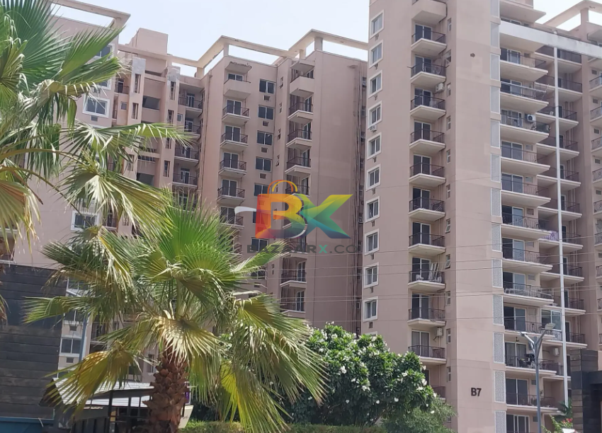 BZX Property