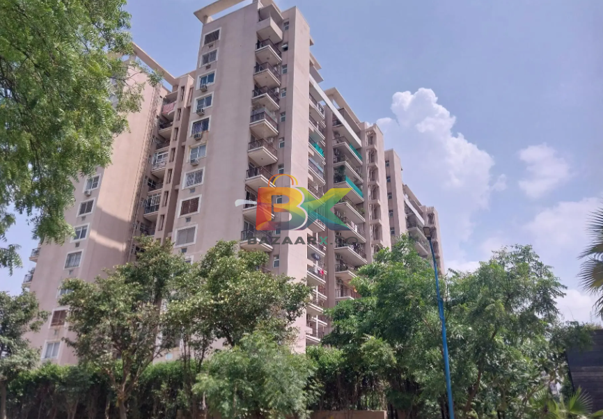 BZX Property