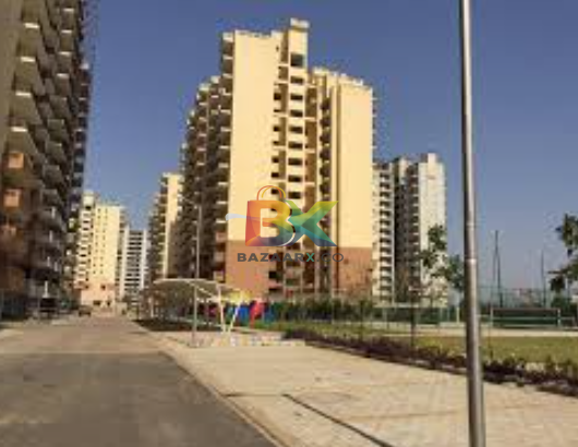 BZX Property